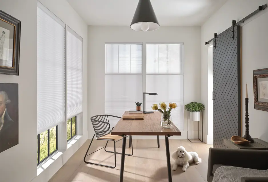 Seguridad 1 seguranca 001